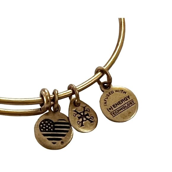Vintage Alex & Ani Path of Life Embossed Charm Bangle 2016 - Picture 3 of 4